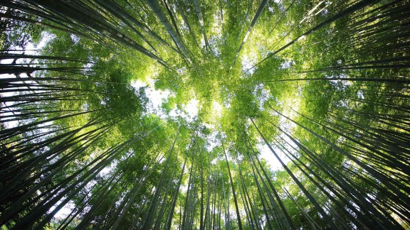 限时优惠:超值KS免费业务平台,DY自助下单商城火热开启!